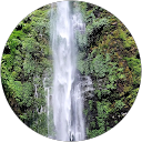 Françoise Lavirin profile picture