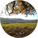 pascal pacha profile picture